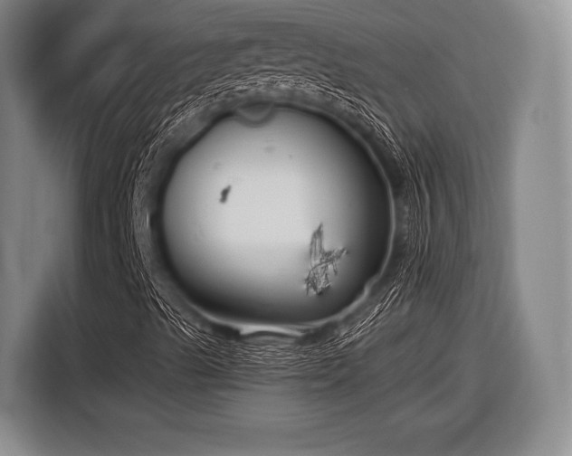 X0000116551489200912171338