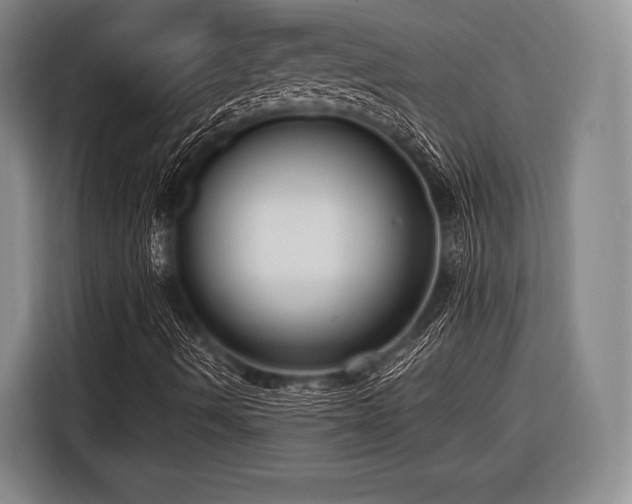 X0000116551490200912171338