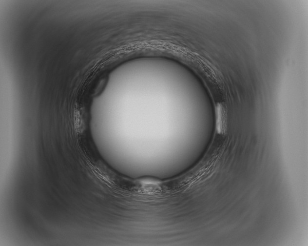 X0000116551491200912171338