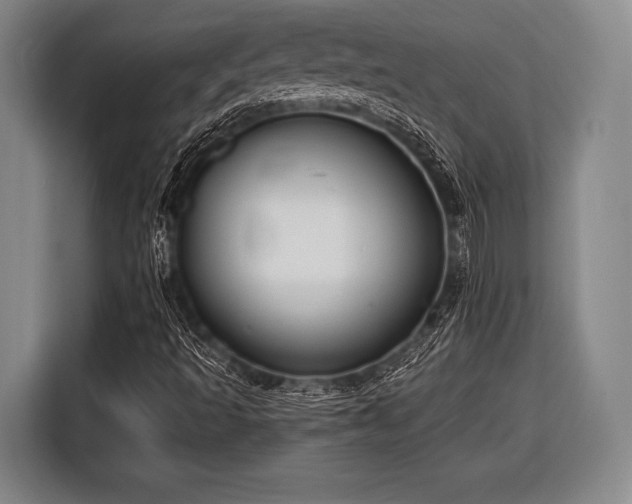 X0000116551493200912171338