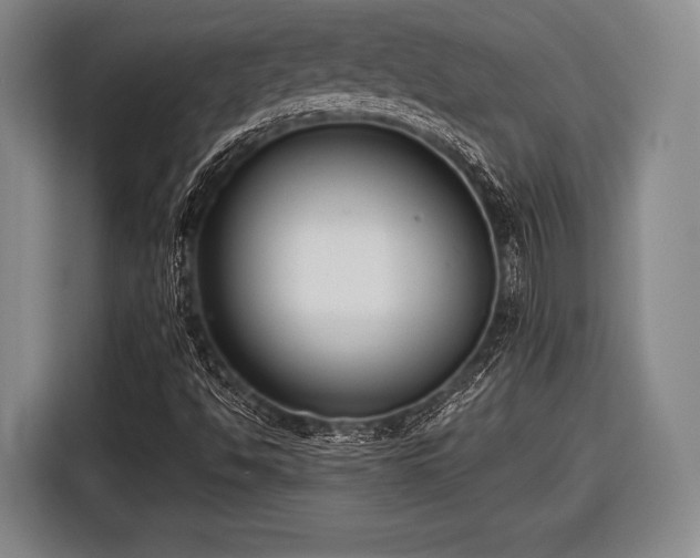 X0000116551494200912171338