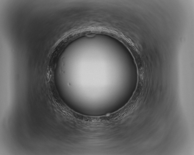 X0000116551495200912171338