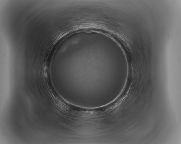 X0000116551497200912171338