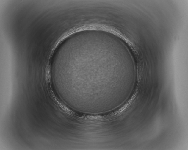 X0000116551498200912171338