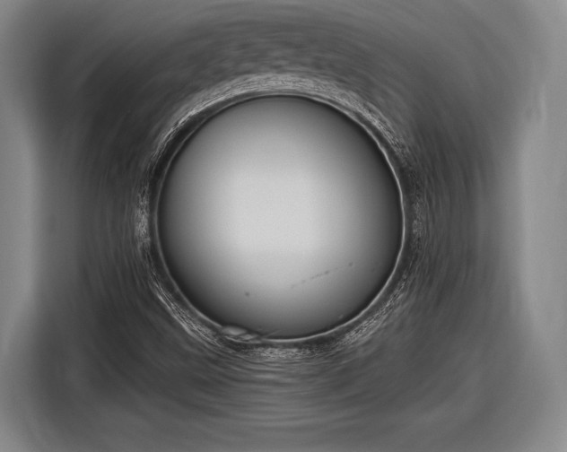 X0000116551499200912171338