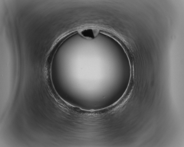 X0000116551501200912171338