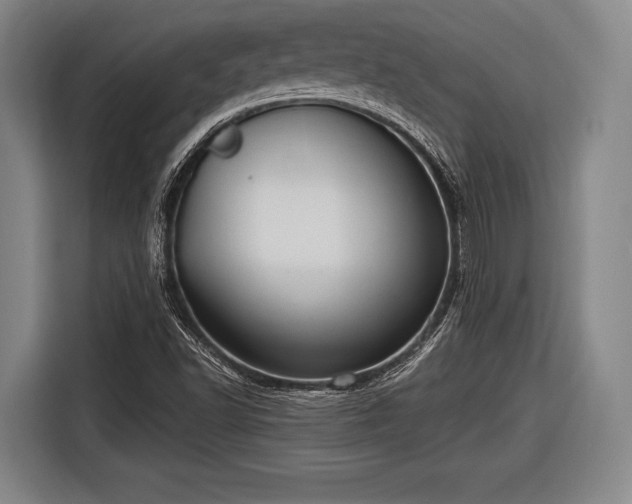 X0000116551502200912171338