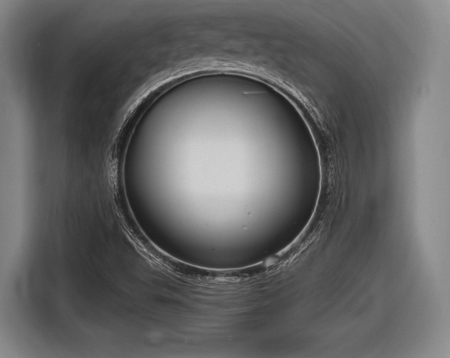 X0000116551503200912171338