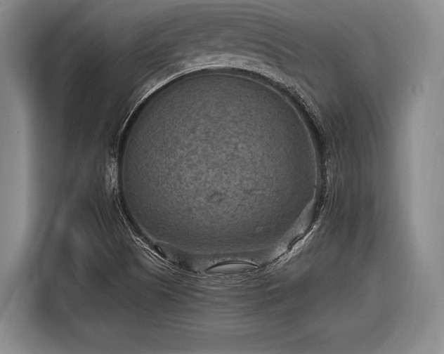 X0000116551505200912171338