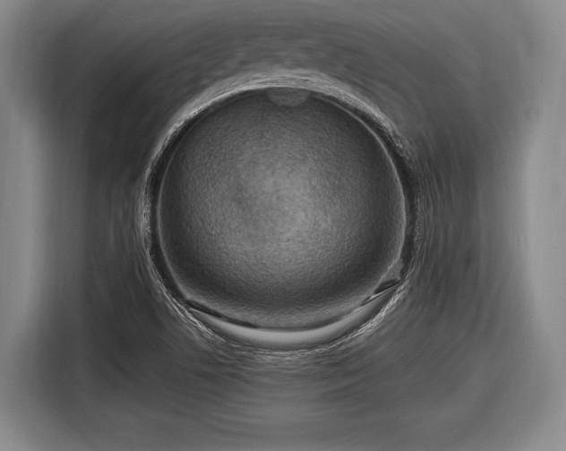 X0000116551506200912171338