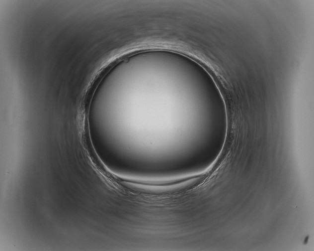 X0000116551507200912171338