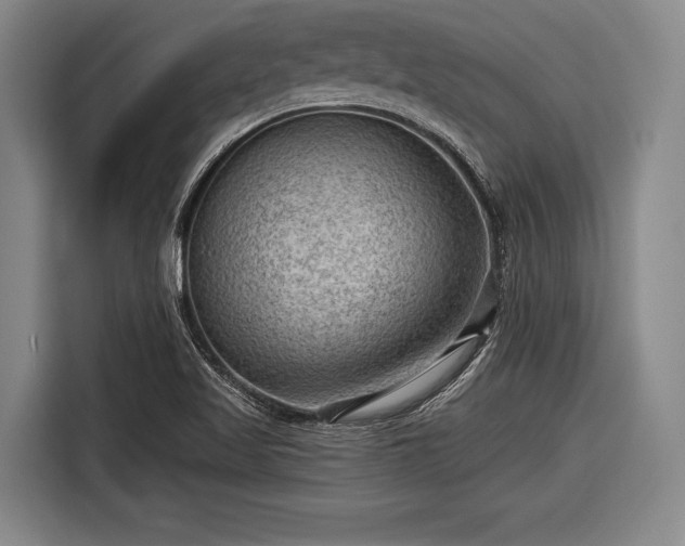 X0000116551509200912171338