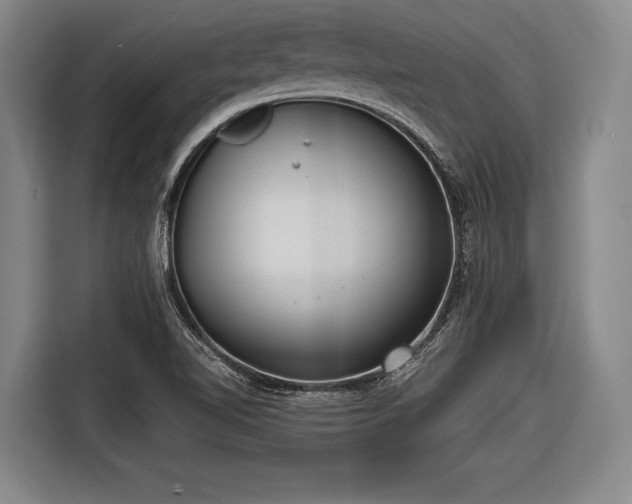 X0000116551510200912171338