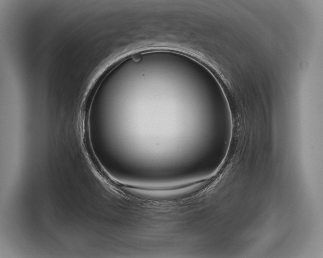 X0000116551511200912171339