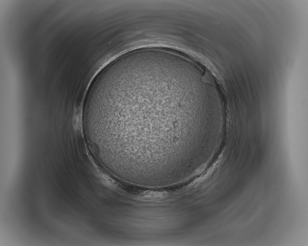 X0000116551513200912171339