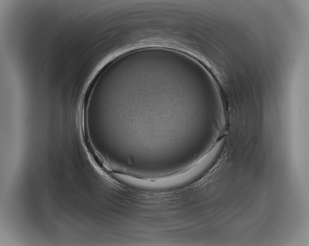 X0000116551515200912171339