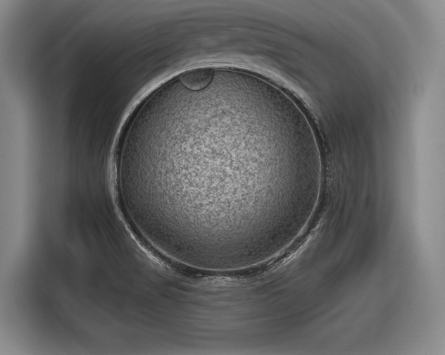 X0000116551517200912171339