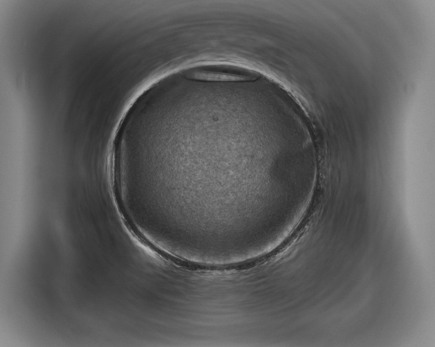 X0000116551519200912171339