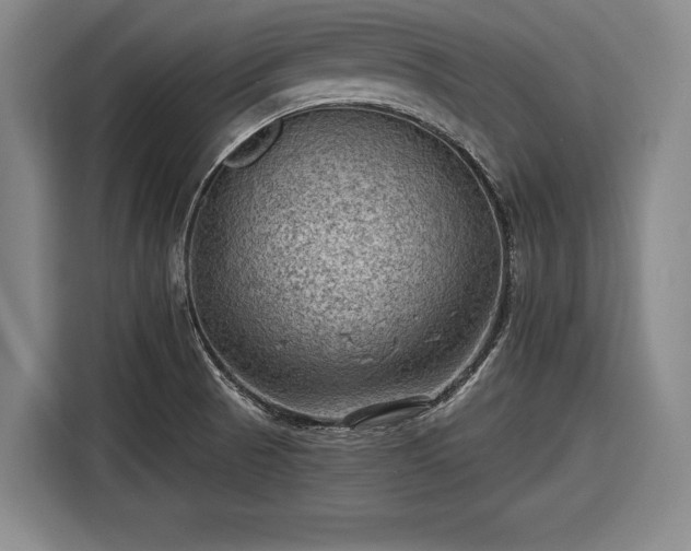 X0000116551521200912171339