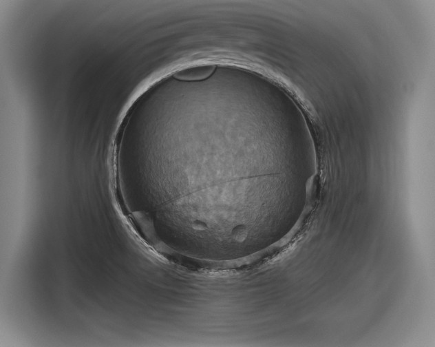 X0000116551522200912171339