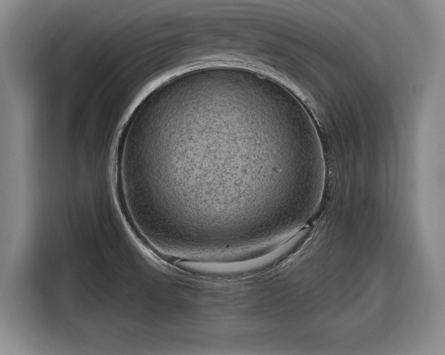 X0000116551523200912171339