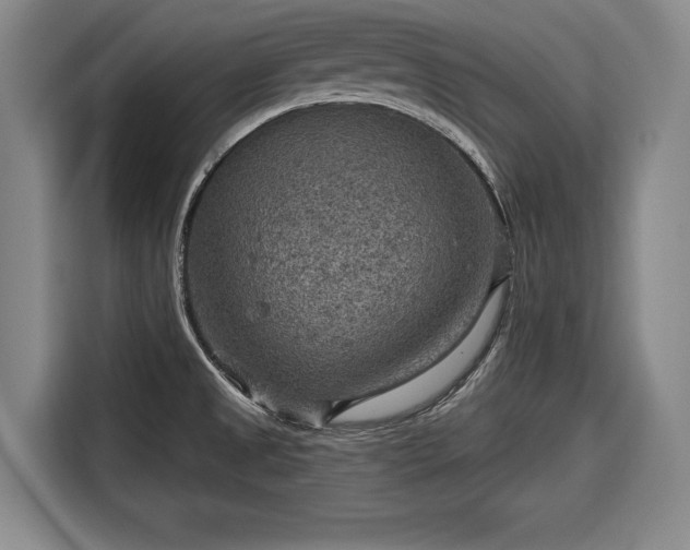 X0000116551525200912171339