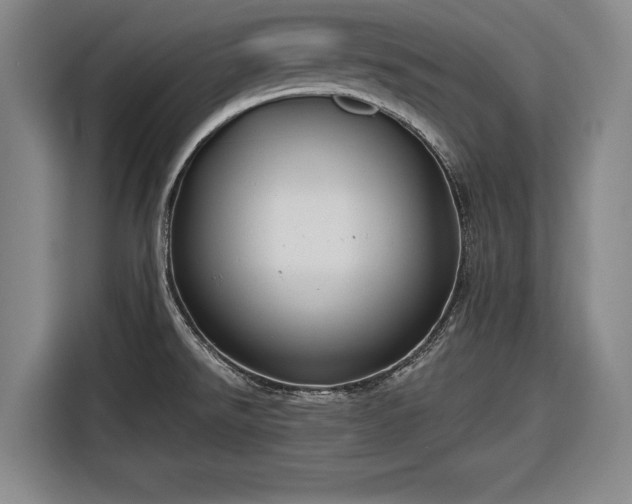 X0000116551526200912171339