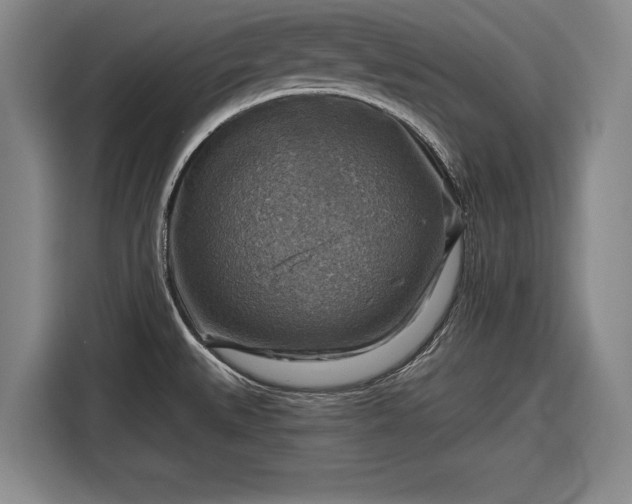 X0000116551527200912171339