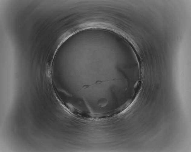 X0000116551529200912171339