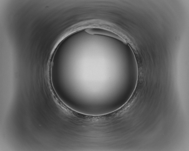 X0000116551530200912171339