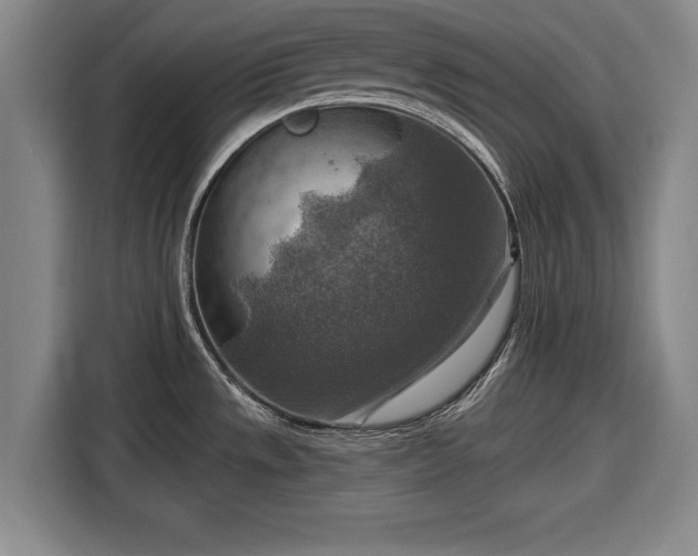 X0000116551533200912171339