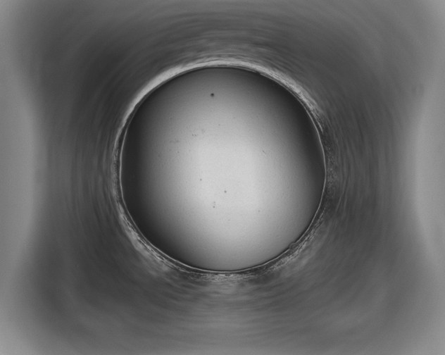 X0000116551534200912171339