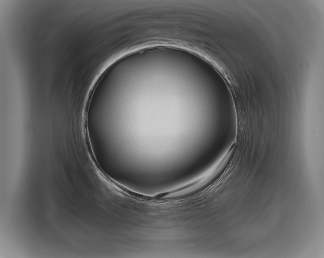 X0000116551535200912171339