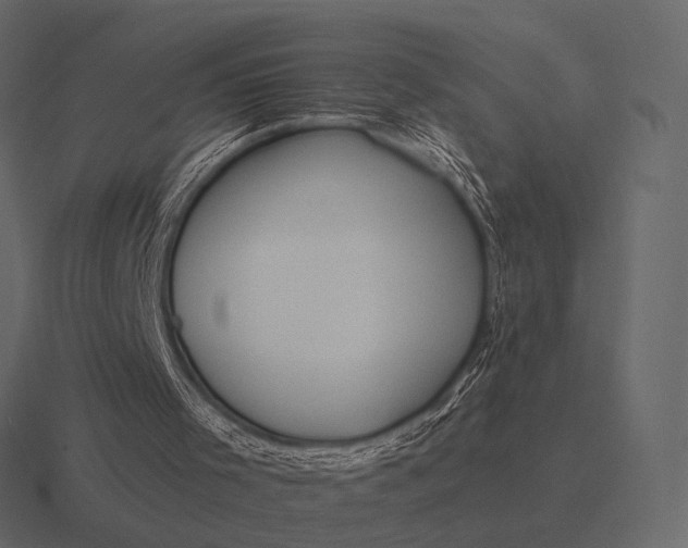 X0000116550001200912241604