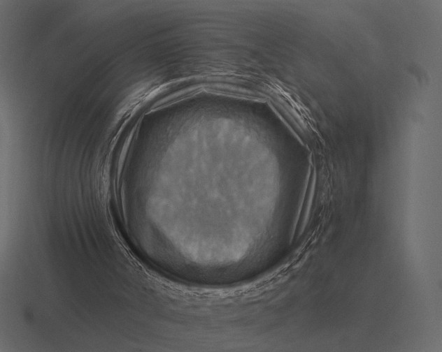 X0000116550002200912241604