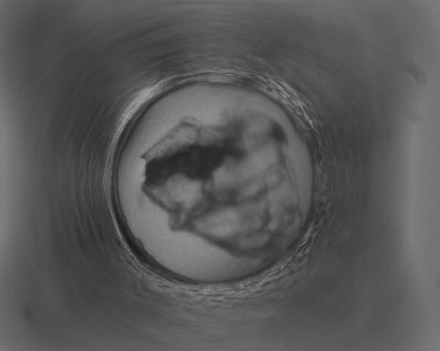 X0000116550003200912241604