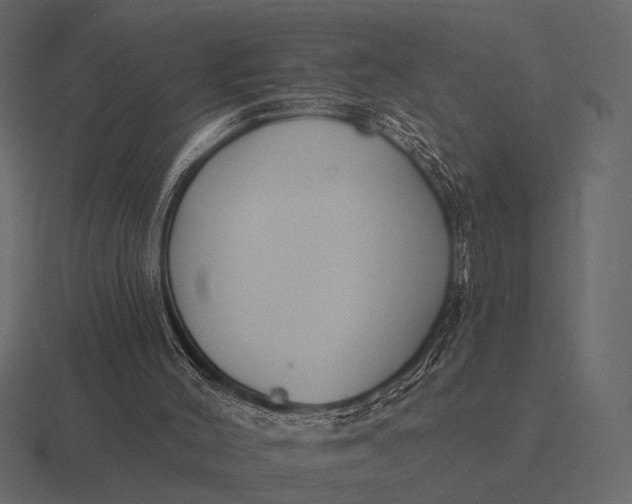 X0000116550004200912241604