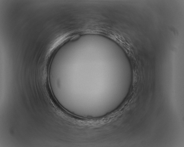 X0000116550005200912241604