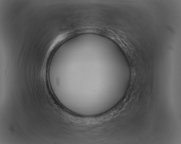 X0000116550006200912241604