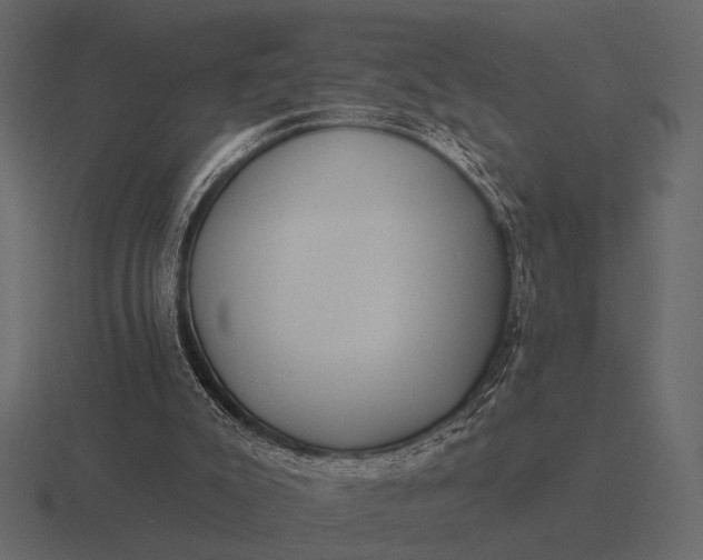 X0000116550007200912241604