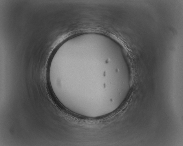 X0000116550008200912241604