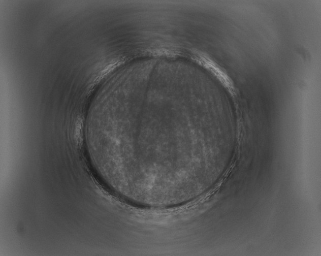 X0000116550009200912241604