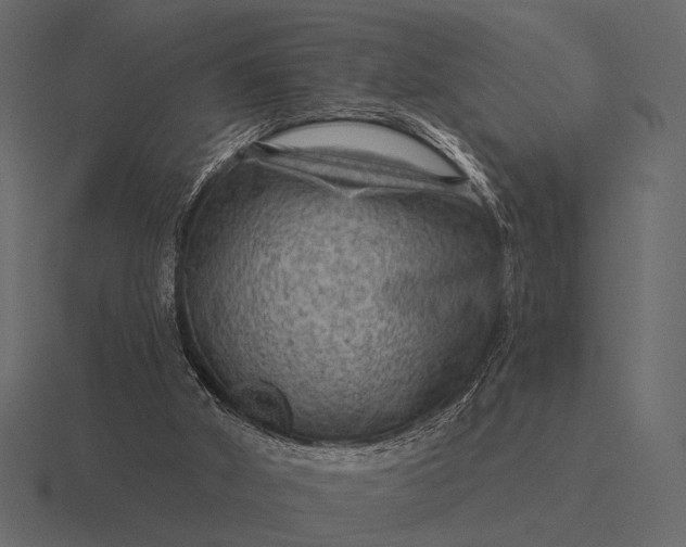 X0000116550010200912241604