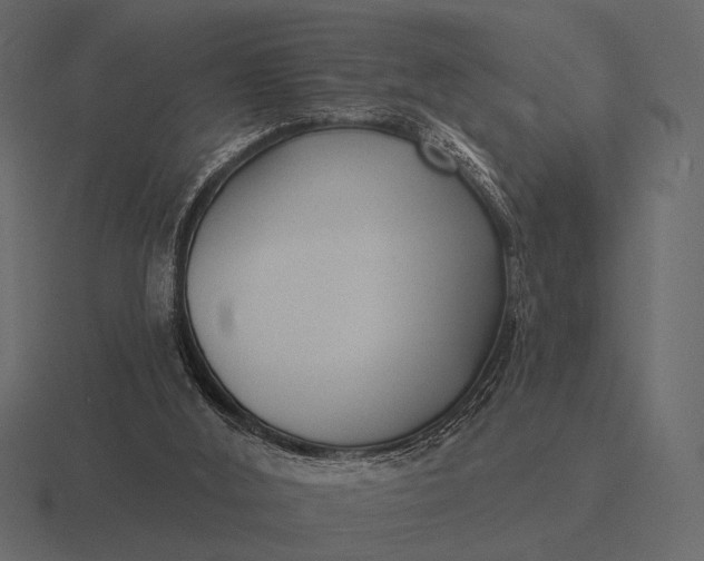 X0000116550012200912241604