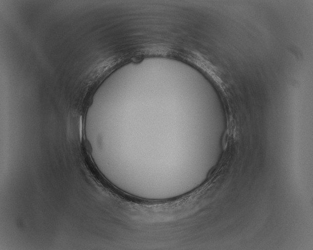 X0000116550013200912241604