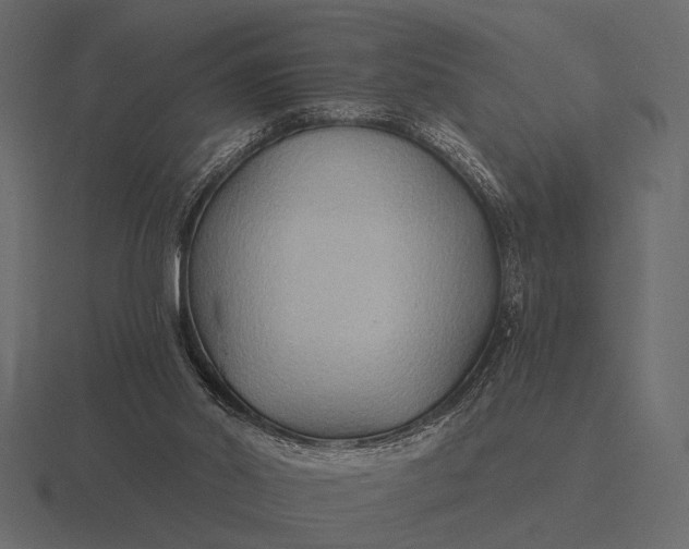 X0000116550014200912241604