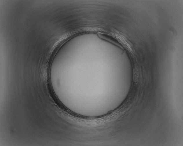 X0000116550015200912241604