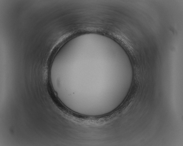 X0000116550016200912241604