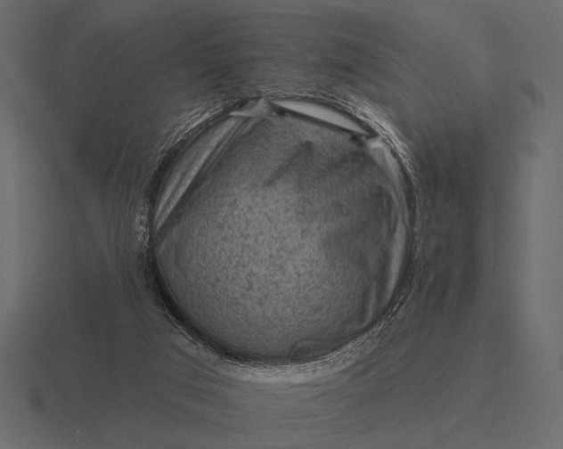 X0000116550017200912241604