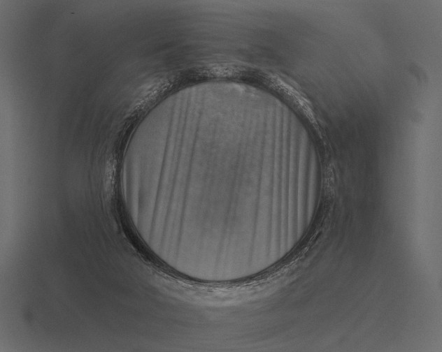 X0000116550018200912241604